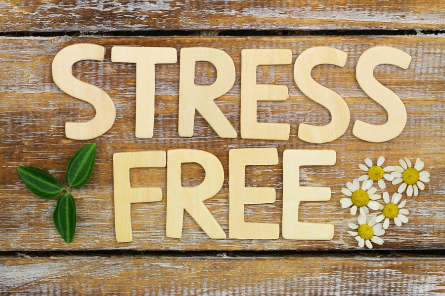 Work Stress-Free