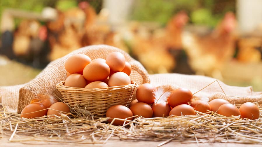 Basket Of Chicken Eggs On A Wooden Table